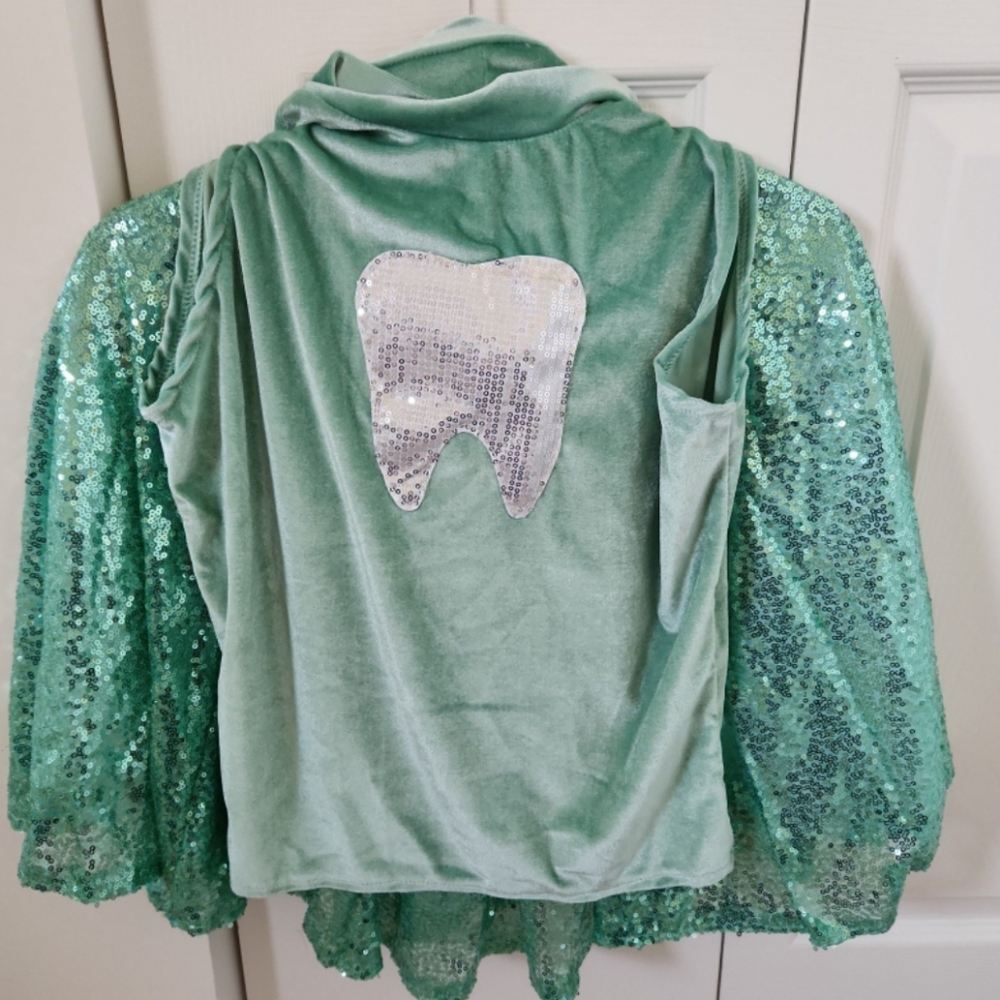 Fairy Costume